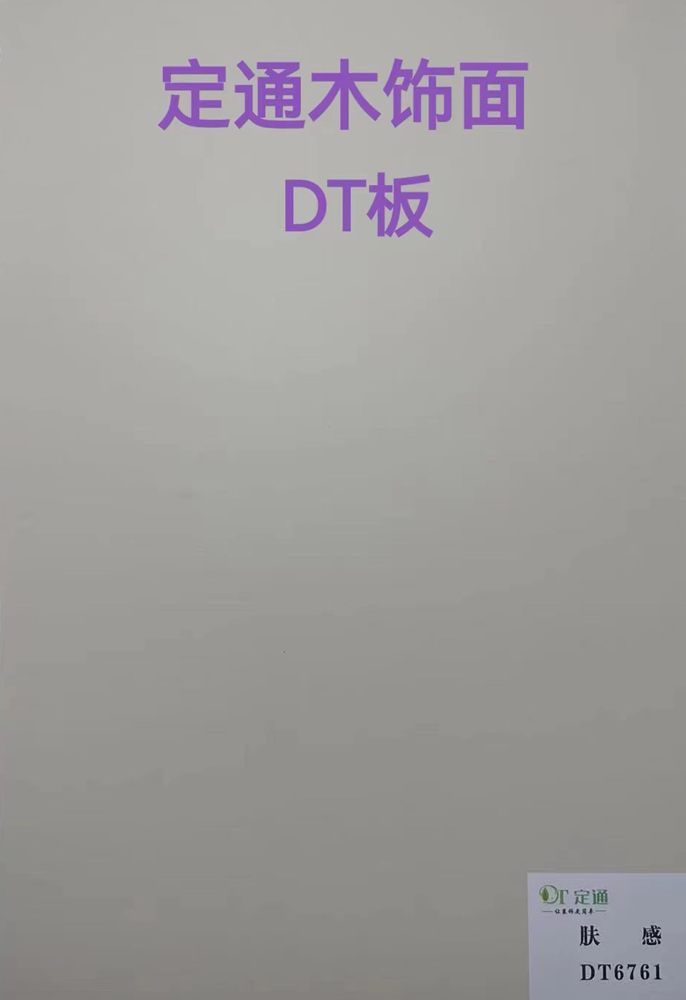 DT6761膚感